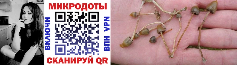 Галлюциногенные грибы GOLDEN TEACHER  Купить где  Темрюк 